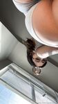 Saint Gypsy Onlyfans pictures